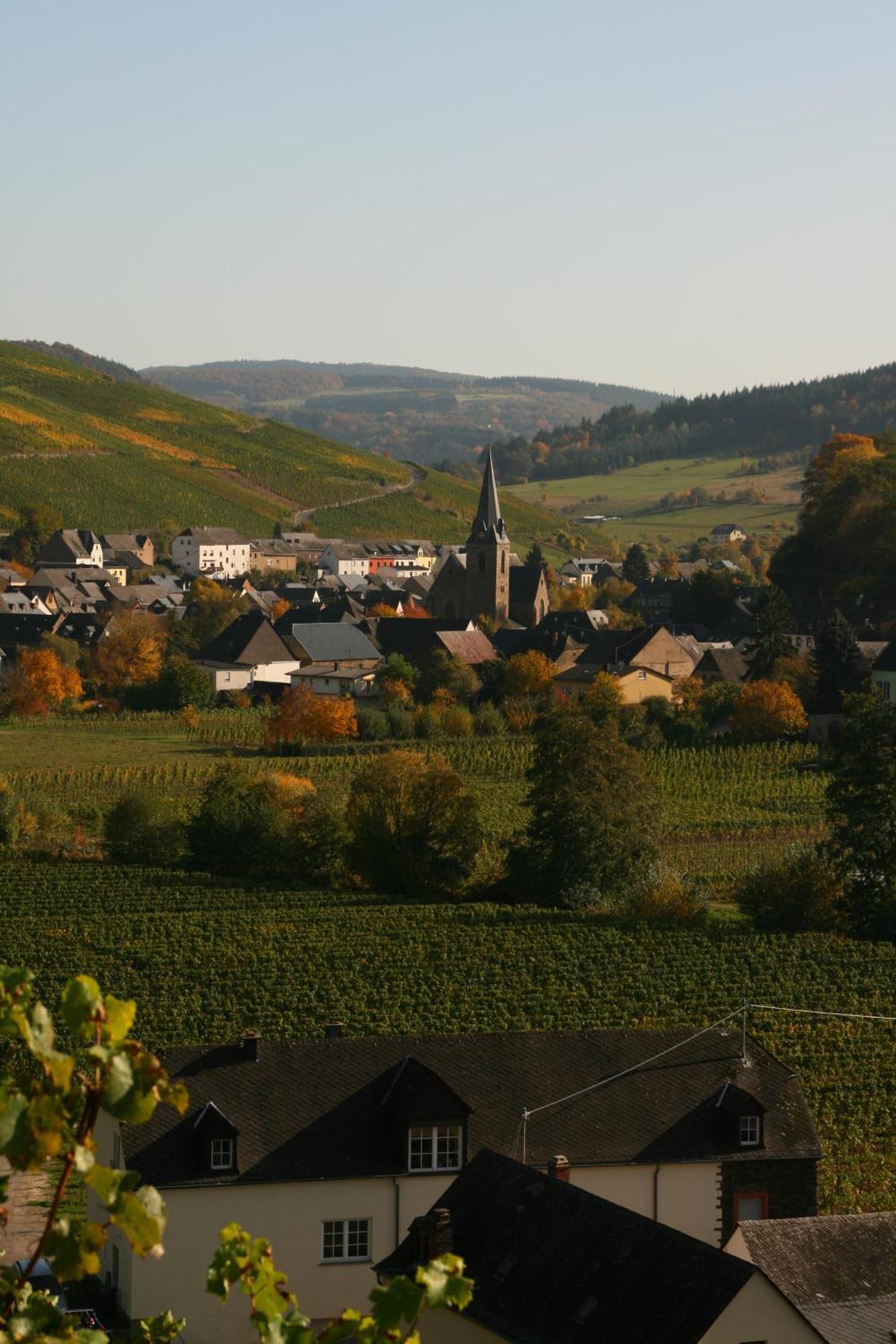 Weingut & Gaestehaus Stephan Kohl ノイマゲン・ダオン エクステリア 写真